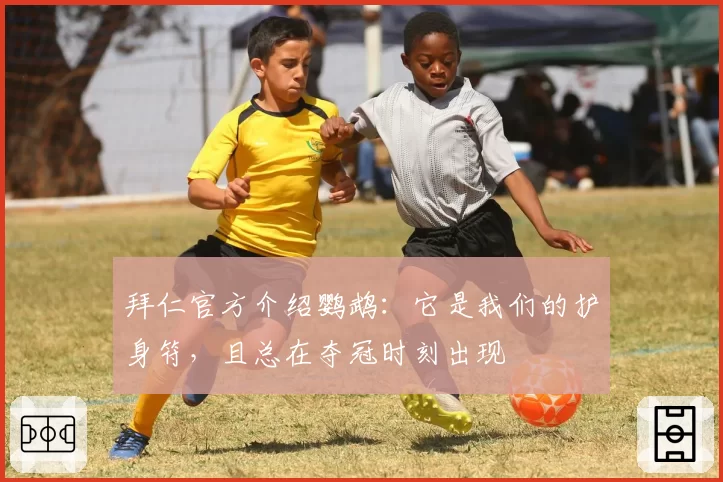 拜仁官方介绍鹦鹉：它是我们的护身符，且总在夺冠时刻出现