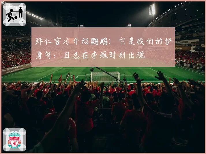 拜仁官方介绍鹦鹉：它是我们的护身符，且总在夺冠时刻出现