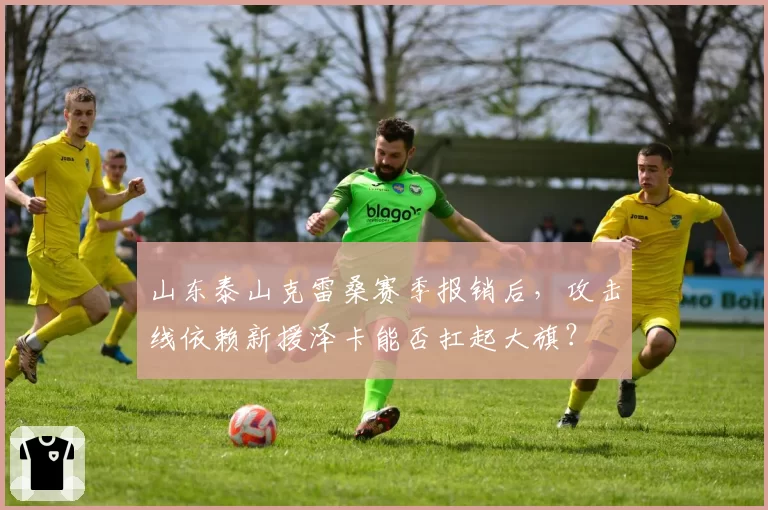 山东泰山克雷桑赛季报销后,攻击线依赖新援泽卡能否扛起大旗?