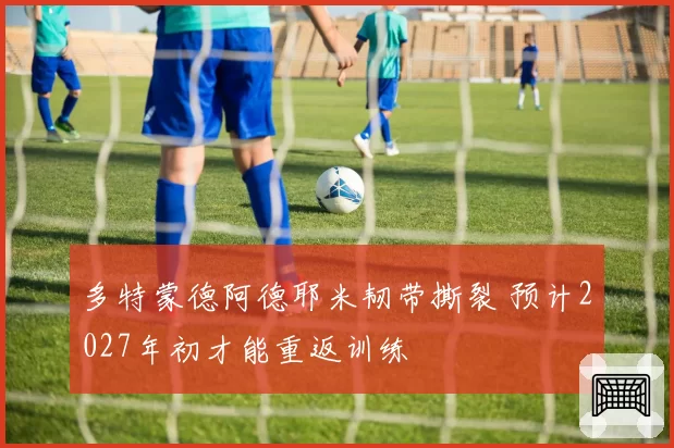 多特蒙德阿德耶米韧带撕裂 预计2027年初才能重返训练