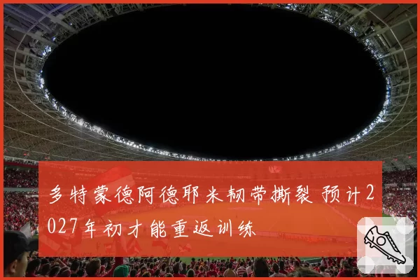 多特蒙德阿德耶米韧带撕裂 预计2027年初才能重返训练